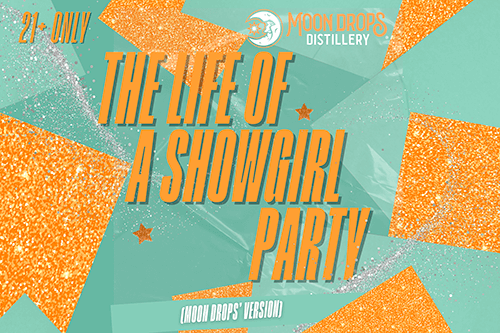 Taylor Swift Life of a Showgirl party